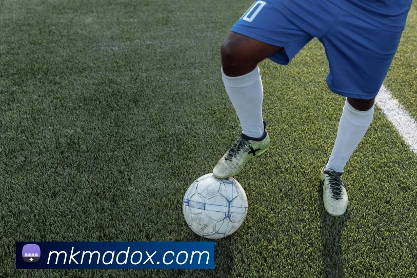 多媒体互动体验